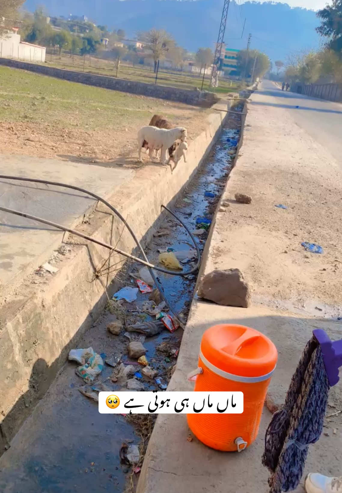 ماں🥹🤧#احسن🍁 #viral_video #ماں #standwithkashmir #man 