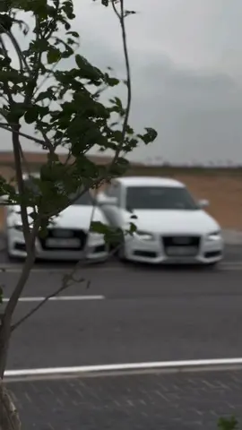 ගමේ පුංචි හැඩකාරී 🤍✨ @sihath #audi #a3 #a4 #fypシ #onemillionaudition #fyppppppppppppppppppppppp #trending #trendingvideo 