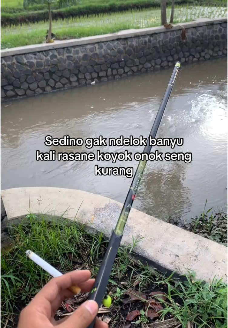 pie ya #fyp #mancing #microfishing #boncos 