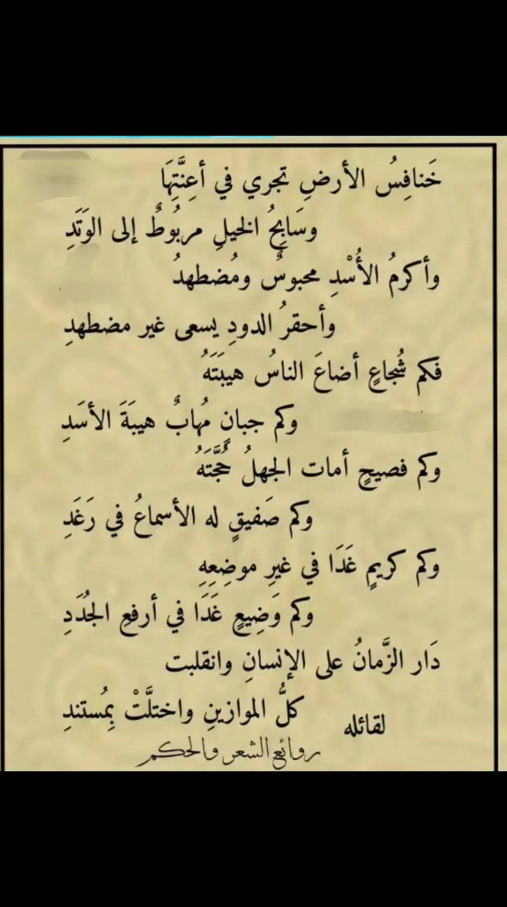 #العقول_الراقيه @محمد الجماعي 