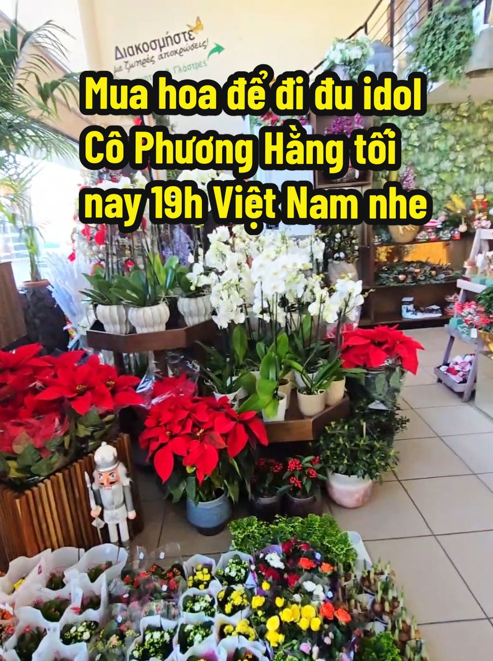 19h tối nay ngày 19/12/3024 theo giờ Việt Nam mấy bà lên xem Livestream của Cô @Christina nhé để xem tui đu idol thành công nè . hẹn gặp mấy bà nhé . #nguyenphuonghang #bấtđộngsảncộnghòasíp #cộnghòasíp #cyprus #nguyenphuonghangfan #đảosíp #hộchiếuchâuâu 