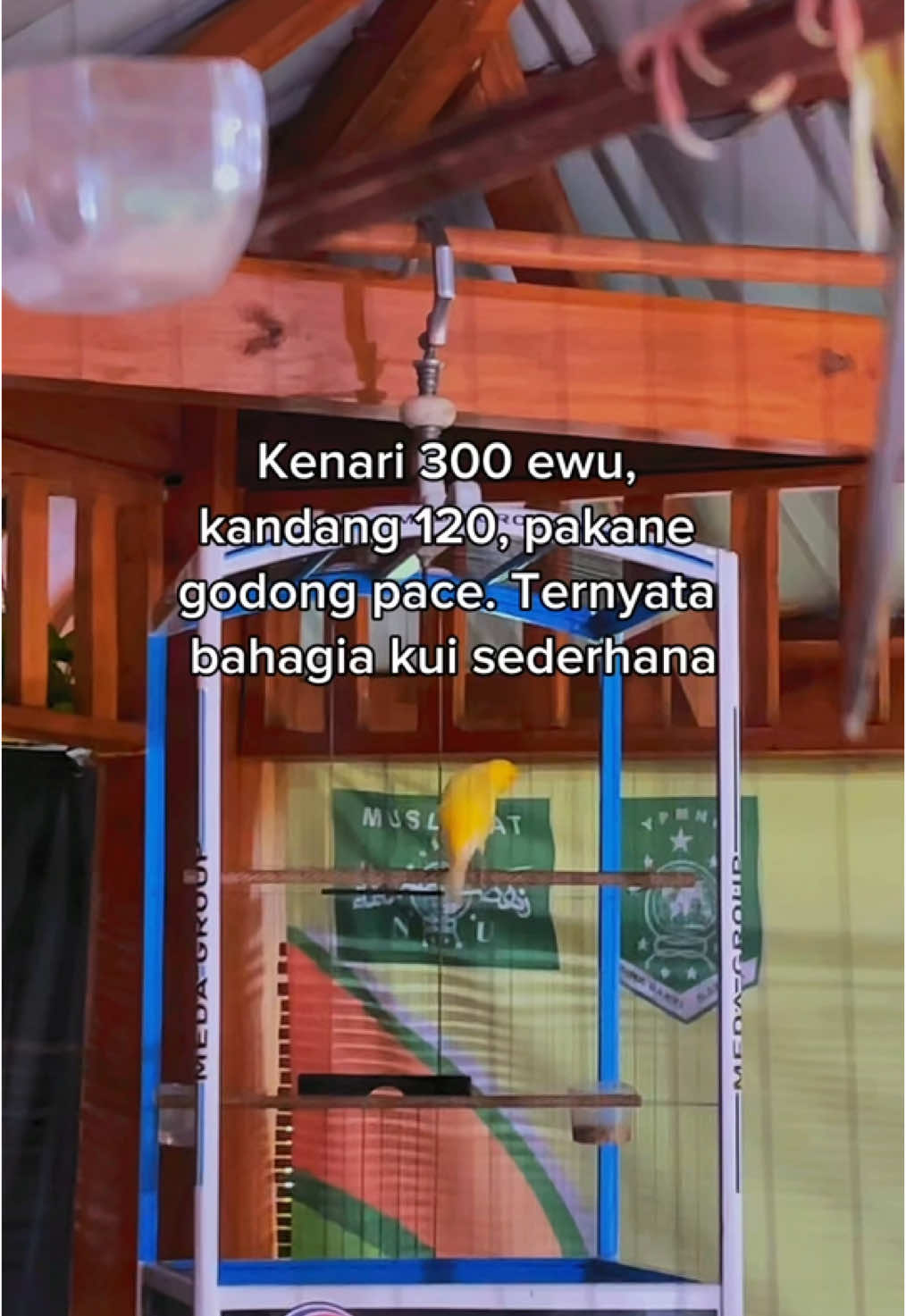 Sederhana tapi bahagi  #ponorogo24jam #foryoupage #kenariindonesia #kenarigacor #kenarijuara #kenarimania #fypviral #kenarimaniaindonesia #kicaumanianusantara #kicaumania_indonesia #xyzbca #kenari #kicaumanianusantara #kicaumania_indonesia #kicauburung #kicau #kicaumania #kicaumaniaindonesia