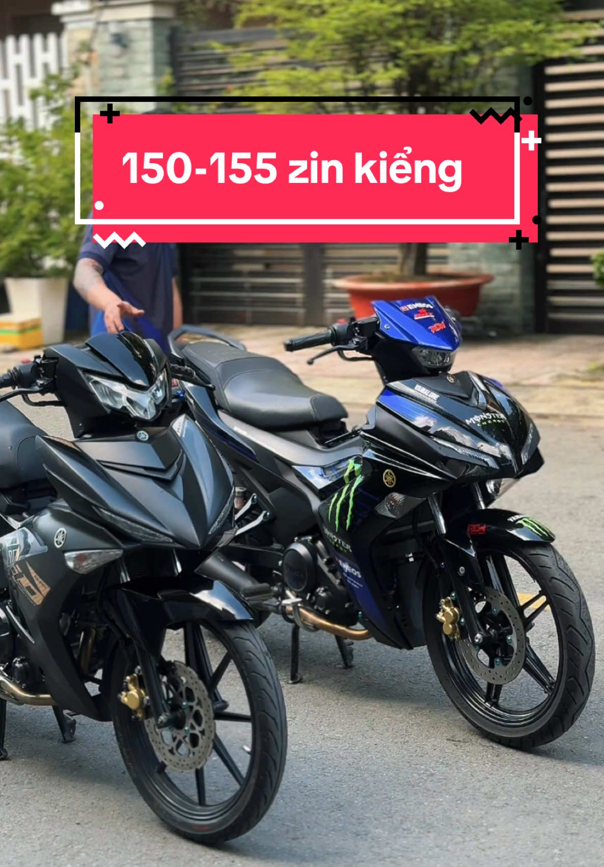 5-10 củ lụm 150 - 155 Zin Kiểng #xuhuong #baobaoxegop #LearnOnTikTok 