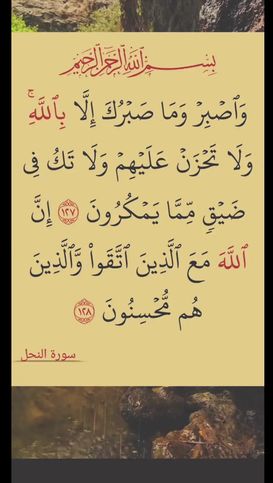 #قرآن_كريم #قرآن_كريم #قرآن_كريم #المصحف 