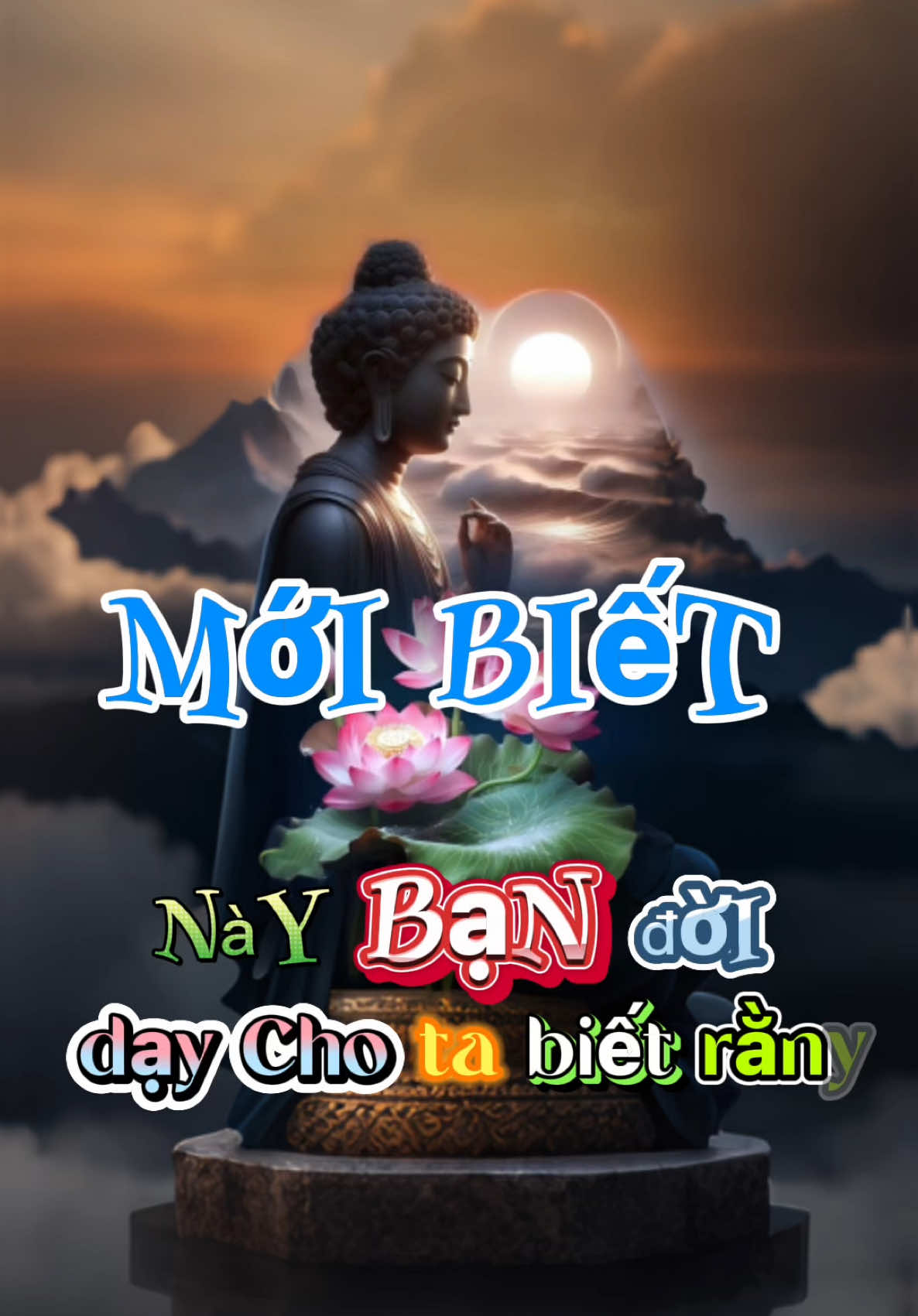 Mới Biết                        #Tinhtamhawaii 