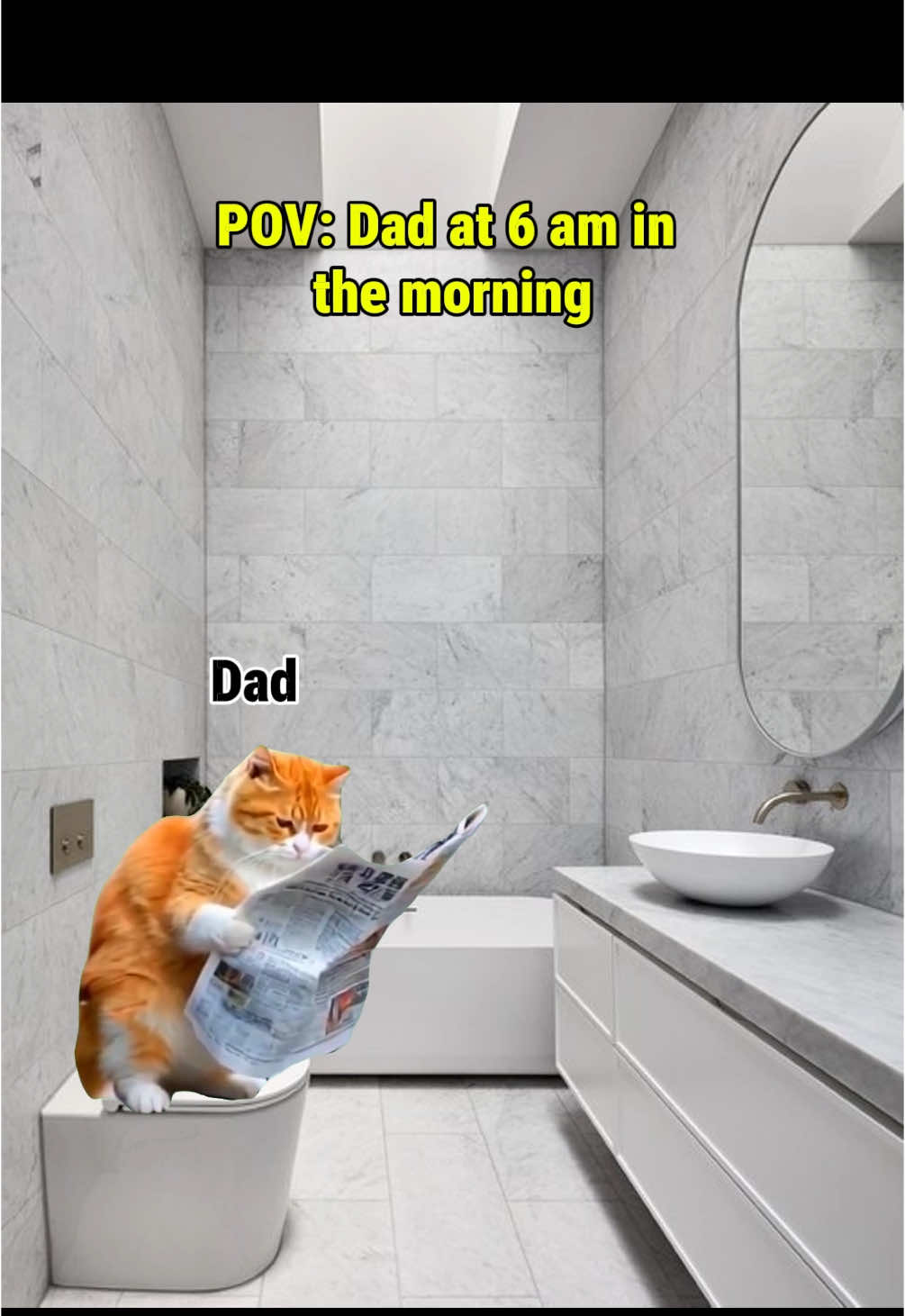 Forever greatful for our hardworking dad ❤️ #catmeme #relatable #catsoftiktok #family 