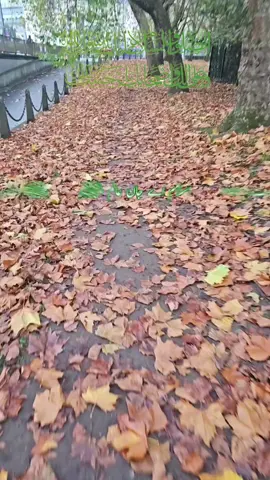#CapCut 