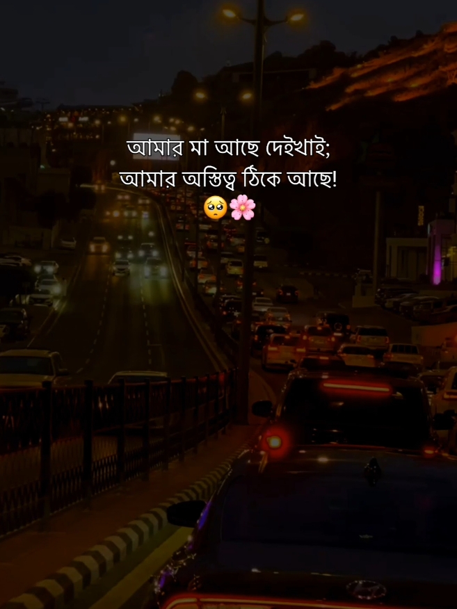 আমার মা আছে দেইখাই; আমার অস্তিত্ব ঠিকে আছে!🥺🌸 #foryou #maa #whatsappstatus #viralvideo #arifraj202🦋 @TikTok Bangladesh 