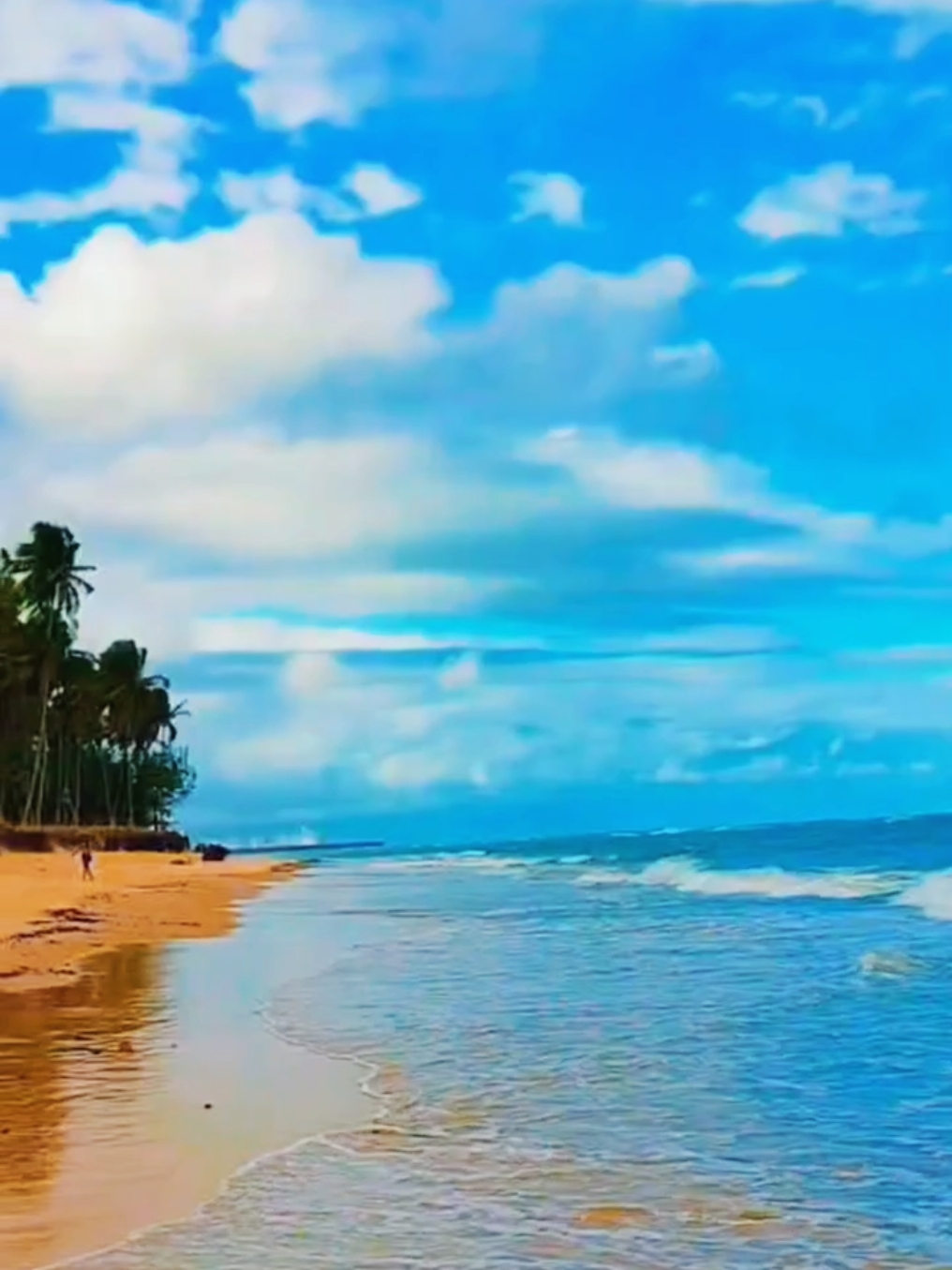 #relax #brasil #praia #beautiful #lovе #paisagem #pernambuco #amor #nature #beleza #beach #natureza #paradise 