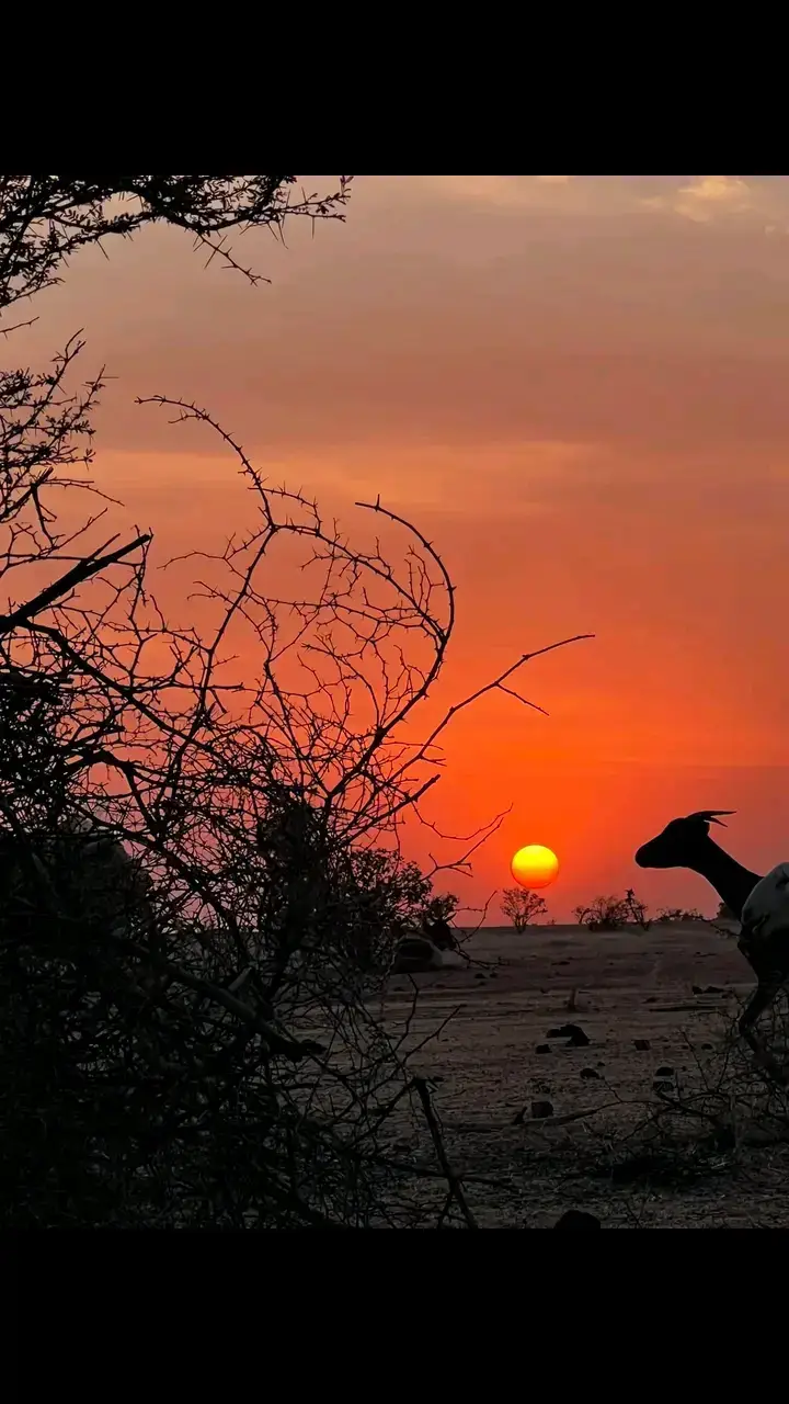 صباح الخير يا حبايبي الله يسعدكم 🤩