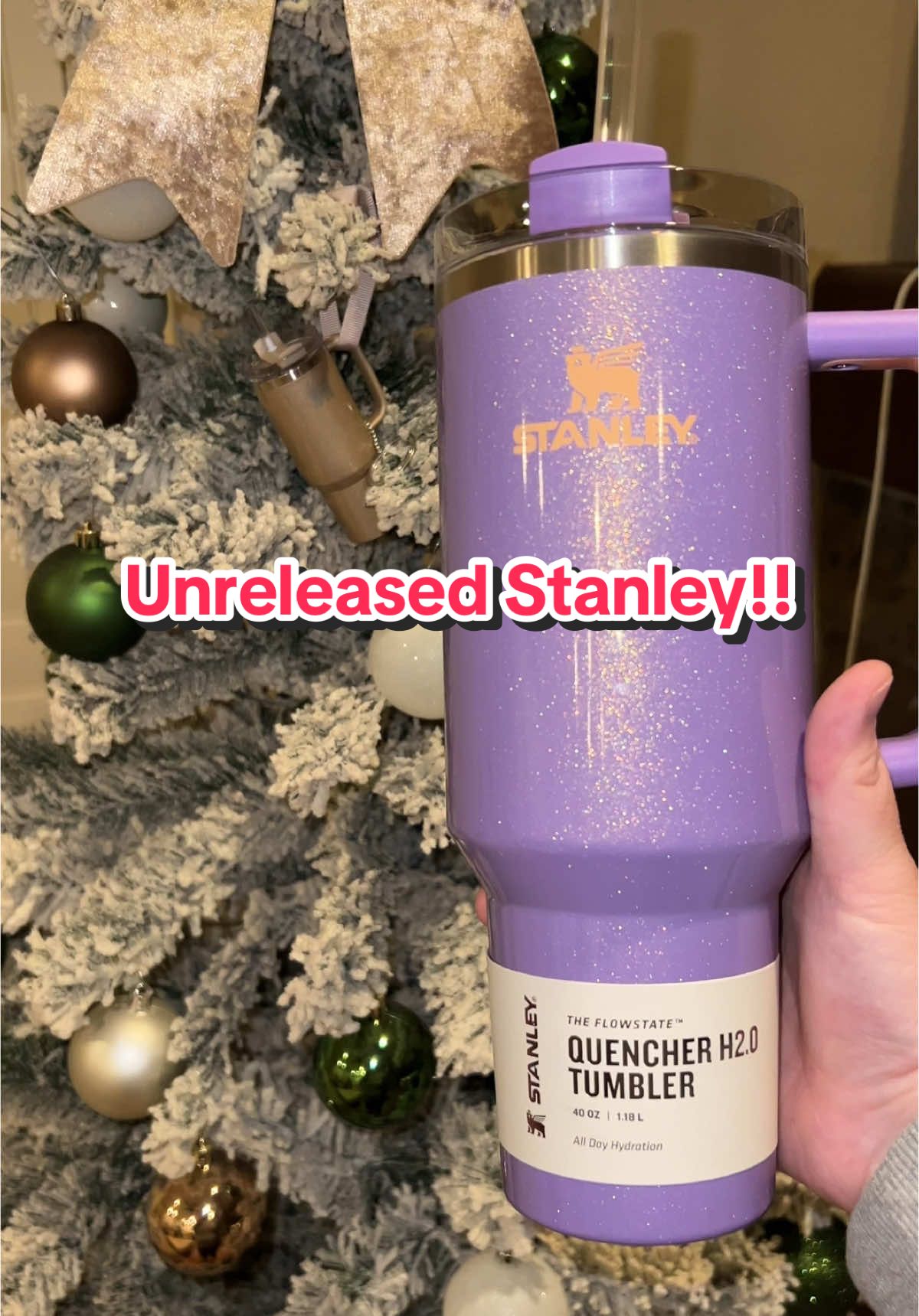 The kind of 40oz I can drink @DICKS Sporting Goods  #Stanley #tumbler #purple #shimmer #Shopping #Yeti #FYP #merrychristmas 