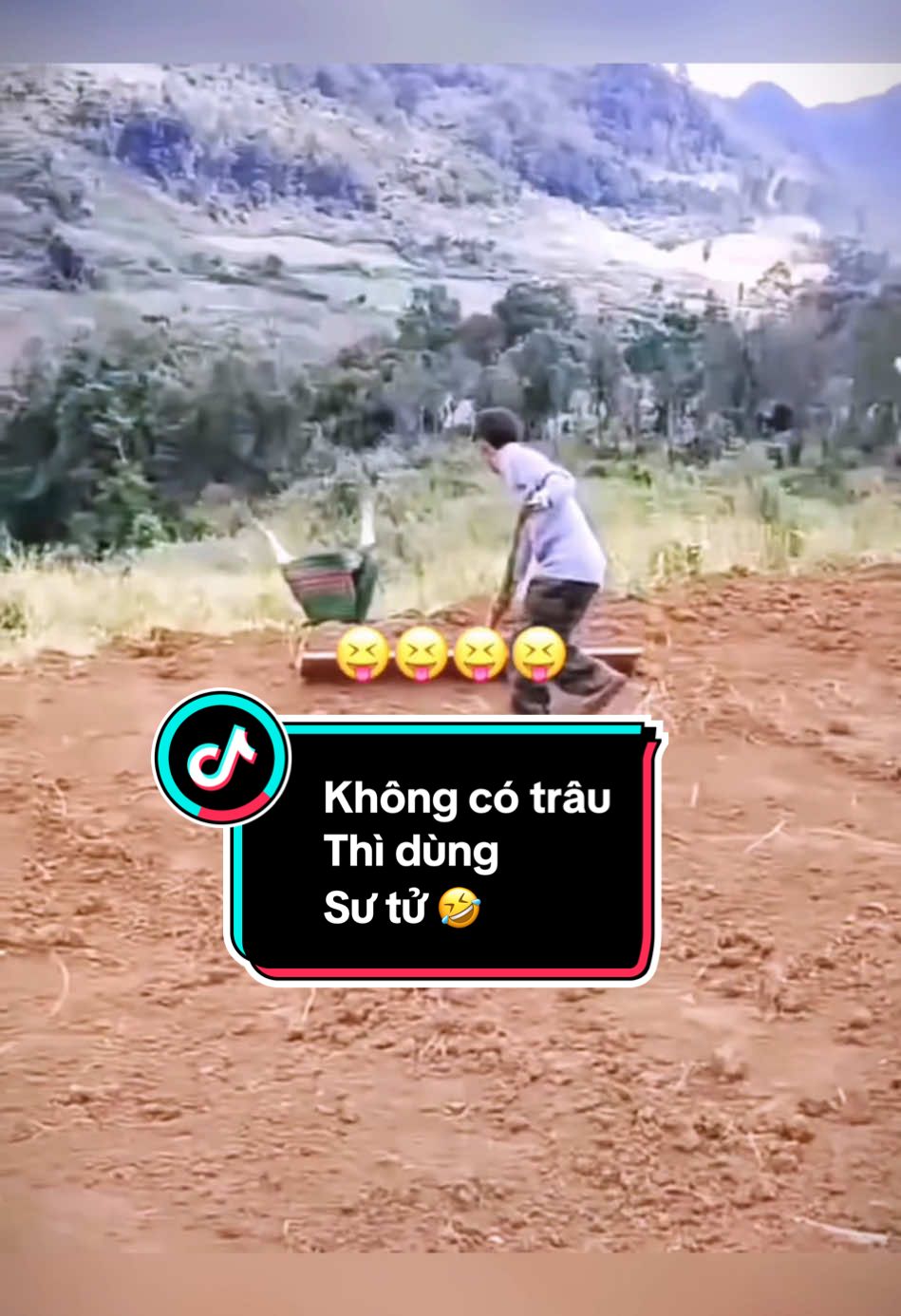 Không có trâu thì dùng sư tử 🤣🤣🤣 #xuhuong #giaitri #tiktok #2024tiktok #hoangdoi  @HOÀNG ĐỢI 