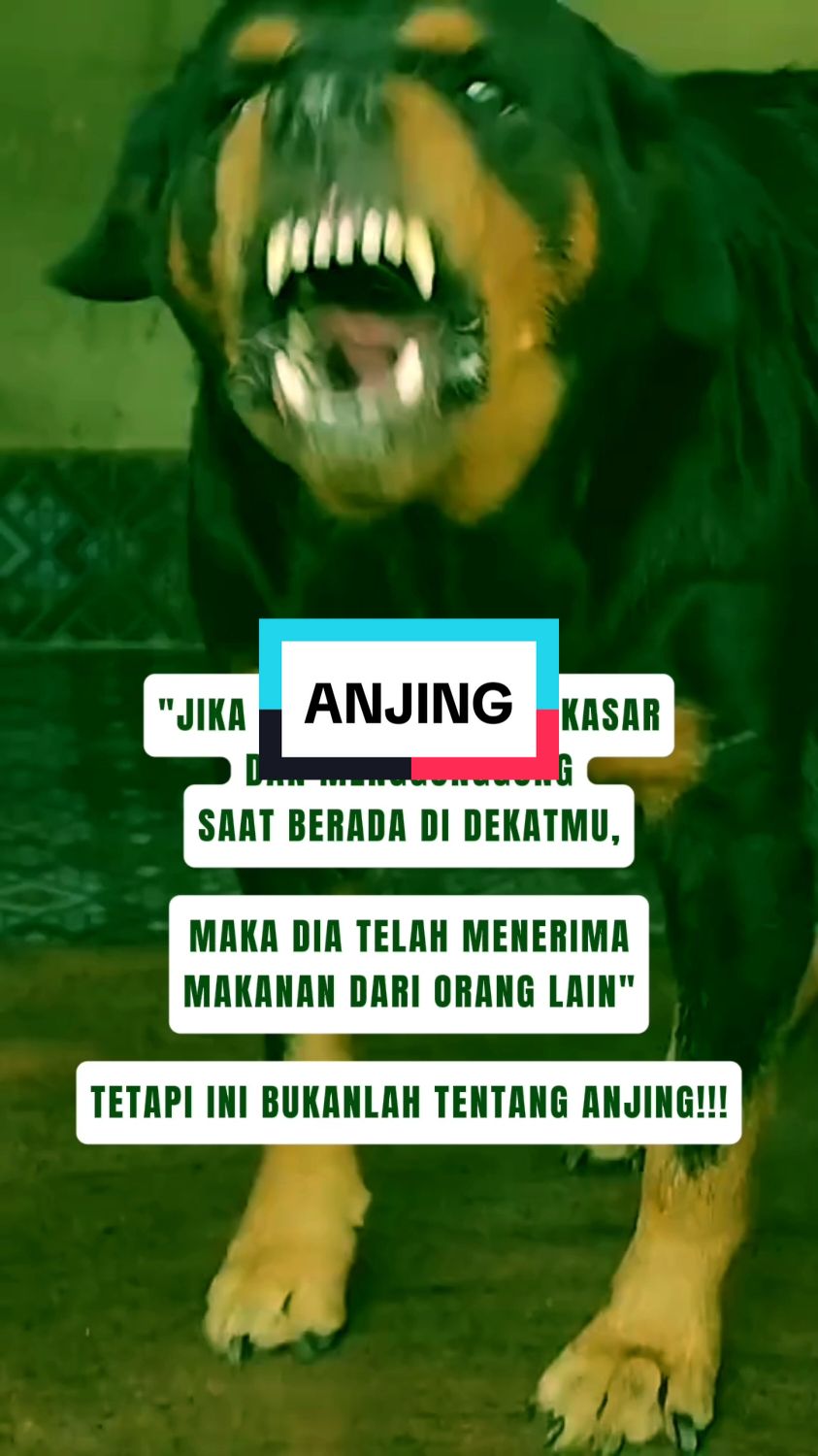 Anjing Menggonggong #anjing #dog #analogi #filsafat #tuturtinular #CapCut 