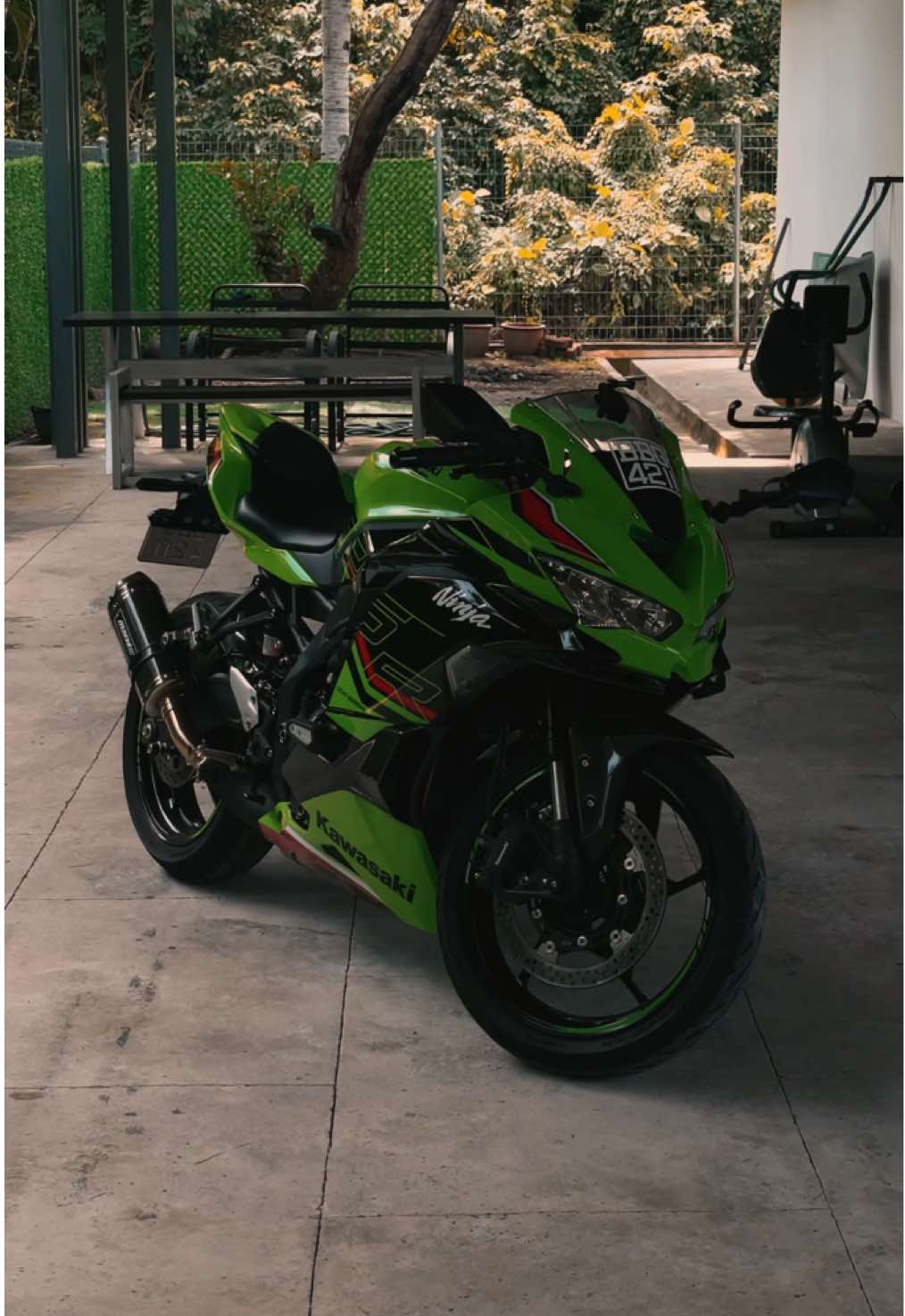 Kawasaki green is the way to go.