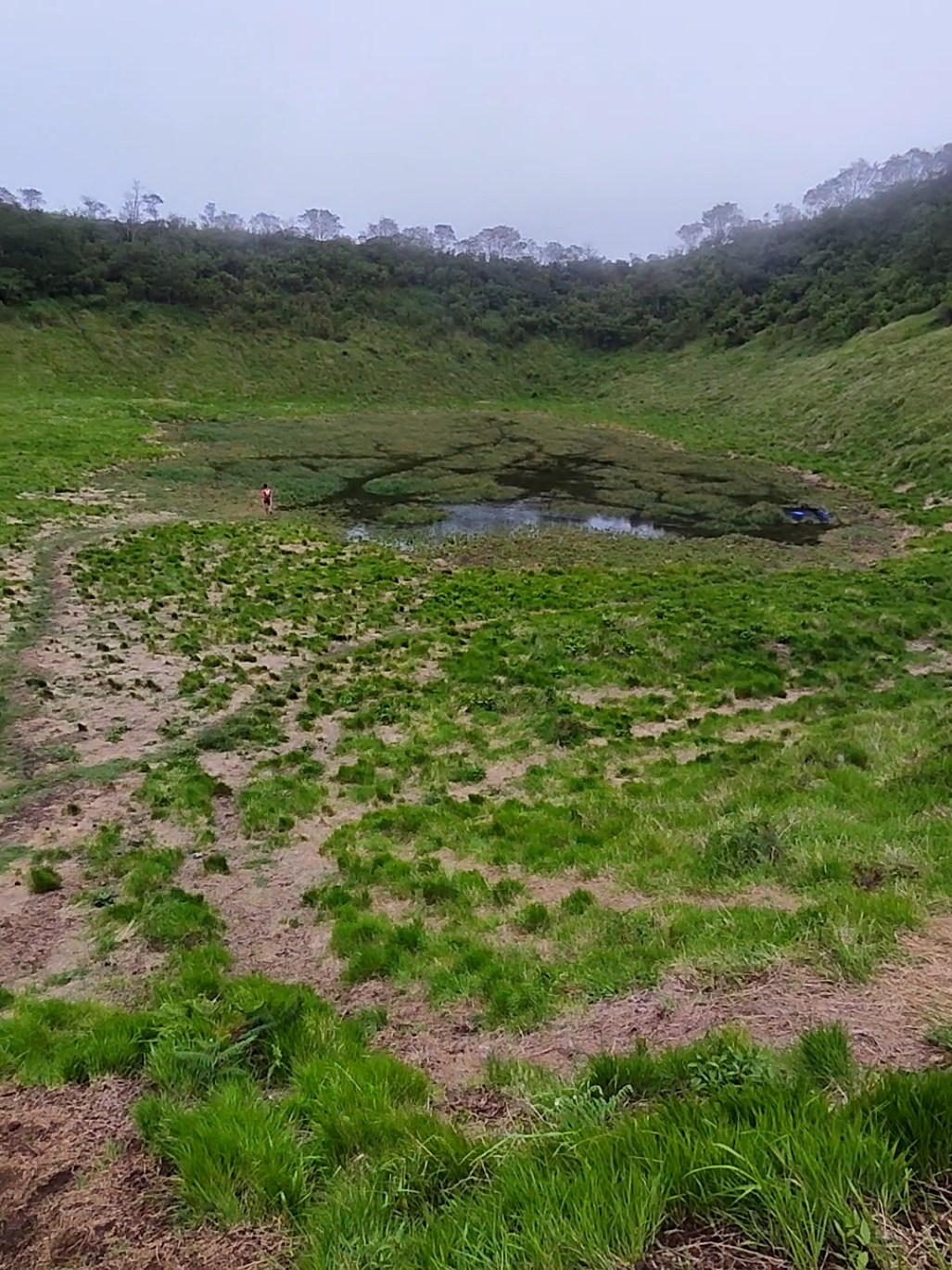 kembang dengan sabana indahnya 🤩 #gunungkembang #sabana #kembang #fyp #pendakigunung 