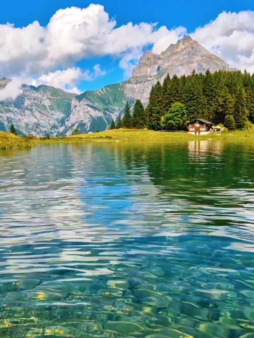 Beautiful Switzerland🇨🇭💚 #switzerland #lake #see #water #clearwater #swissalps #mountain #nature #naturelover #naturevibes #naturelove #natureathome #goodvibes #positivevibes #relaxing #fyp #viralvideos #sky #clouds #Outdoors #travel #scenery #landscape #calm  #enjoy #feelings #vibes #swissbutterfly #swiss #schweiz #suisse #suisse🇨🇭 