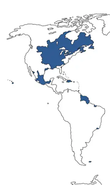 these territories are all combined by colonialism, imperialism,and nationalism, starting from Kingdom of France, to Napoleonic France, to 3rd republican France and The France today.  Some Facts: 1st Fact: France got the Louisiana Territory because Spain signed a Secret Treaty to give the Louisiana Territory to France. 2nd Fact: France actually change the language of England because The influence of French on English pertains mainly to its lexicon, including orthography, and to some extent pronunciation. Most of the French vocabulary in English entered the language after the Norman Conquest in 1066. 3rd Fact: Napoleon's thing was allegedly amputated during an autopsy shortly after his death in 1821, it was passed through several owners. #fyp #fypシ #xyzbca #france #history #geography 