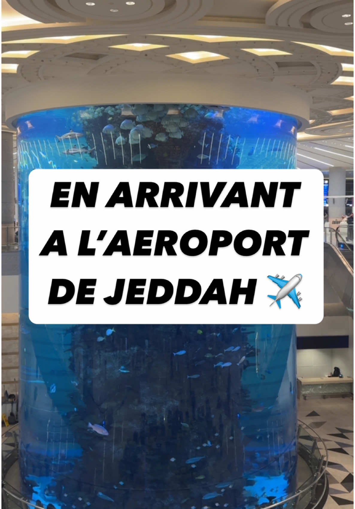 Voici les premières choses a faire en arrivant a l’aéroport de Jeddah ✈️  1 - Prendre une carte SIM afin d’être joignable et d’informer vos proches de votre bonne arrivée. 2 - Changer de l’argent, notamment si vous devez payer un taxi. Je conseille à tous de changer dès l’arrivée car les bureaux de change dans les villes saintes sont souvent plein. 3 - Très pratique aussi vous pouvez prendre le TGV pour rejoindre Médine et Makkah et les billets se vendent sur l’Application HHR ou le site web du même nom. Bon voyage 🕋🇸🇦 #omra #jeddah #arabiesaoudite #ksa #visitsaudi #umrah #voyage #pelerinage #makkah #madina #medine #lamecque #pourtoi #fyp 