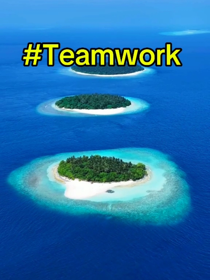 Teamwork!!!!!. Teamwork on Tiktok benefits everyone by increasing visibility, fostering creativity, and building stronger communities. when creators collaborate through duets, challenge, or shared trends, they combine audiences, boosting engagement for all participants. Active interaction, such as liking, commenting, and sharing, helps the algorithm promote the content more widely, leading to mutual growth. This collaboration creates a supportive environment where everyone can benefit from increased exposure and shared success.  #teamwork #fyp #10k #foryou #growmyaccount #viral #roadto10kfollowers #10ktrend #under10k #teamworkchallenge #followtrain #teamworktrend #grow   #foryoupage❤️❤️ #teamworkmakesthedreamwork 