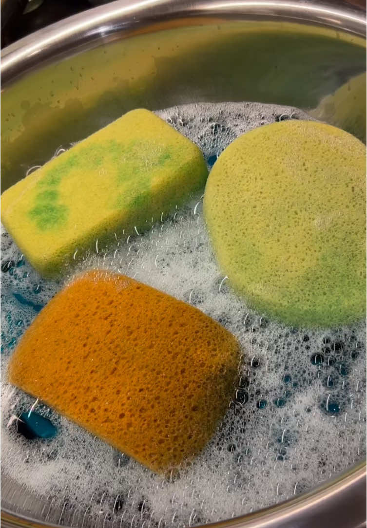 🪼🐚🏝️🌺🫧 Mar Fresco Fabuloso 🫧🌺🏝️🐚🪼 Sudsy & Squeaky Sponge Squeezing + satisfying sounds. 🫧 Credit : @The Asmr Love Shop also on IG and YT! #teamsuds #asmrcommunity #sponge #eponge #oddlysatisfying #asmrspongesqueeze #asmr #sudsysponge #sudsysqueezes #squeakyclean #pinesol #pinesolclean #dettol #blueajax #fabuloso #mrclean #spongesqueezing #sudsyspongesqueeze #sudsyspongesqueezing #dawndishsoap #spongesqueeze #spongesqueezingasmr #squeeze #squeezeit #satisfyingvideo #videosatisfaisante #satisfaisant #nettoyage #cleaning #clean #nettoyagesatisfaisant #cleaningmotivation #suds #sudsy #sudsyasmr #squeezingsponges #esponjas #espuma #spongetok #CleanTok  