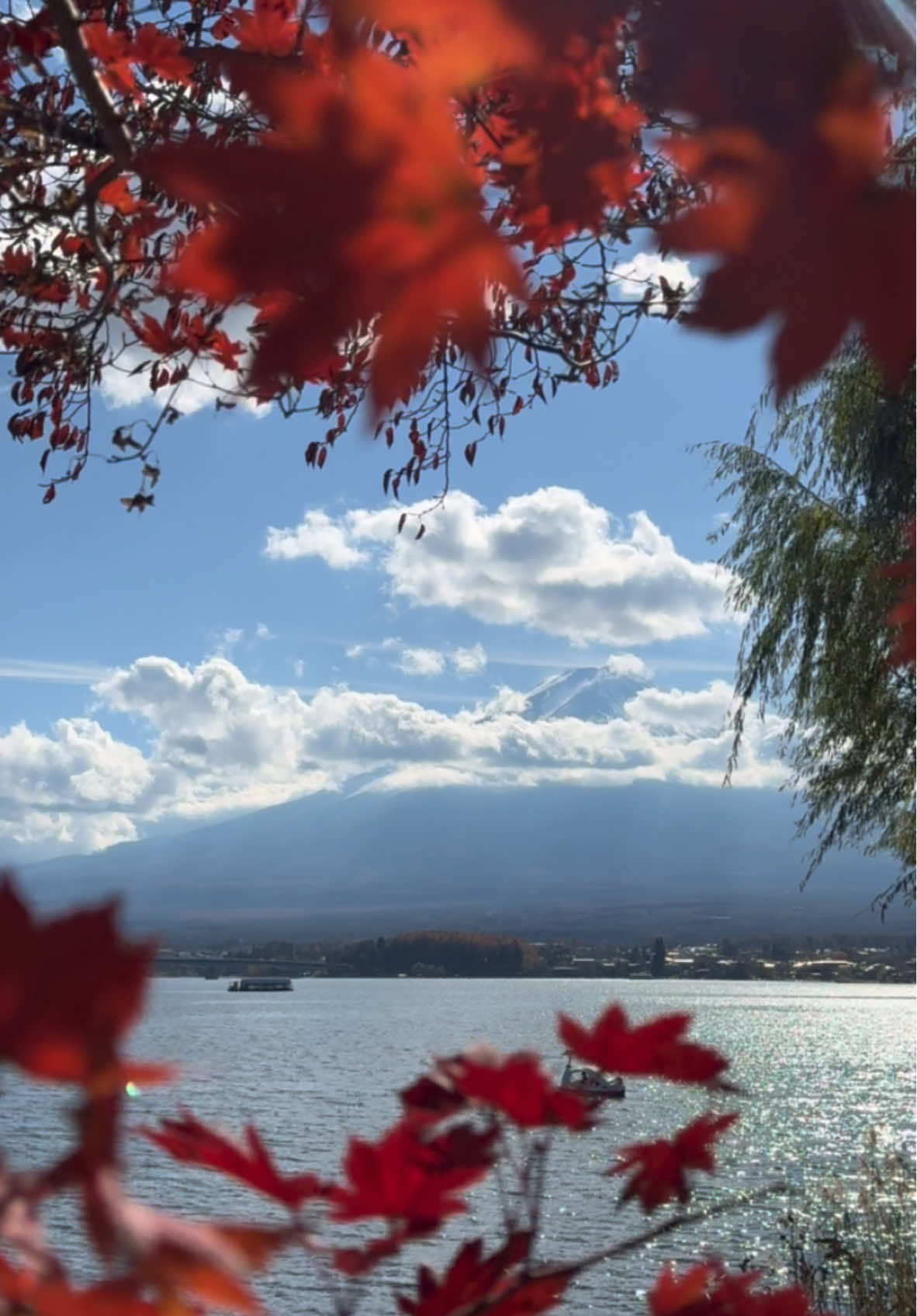 #kawaguchiko #河口湖 #autumn #秋 #mtfuji #富士山 #japan #日本 #cloudy #空 #lakekawaguchiko #relaxmejapan 