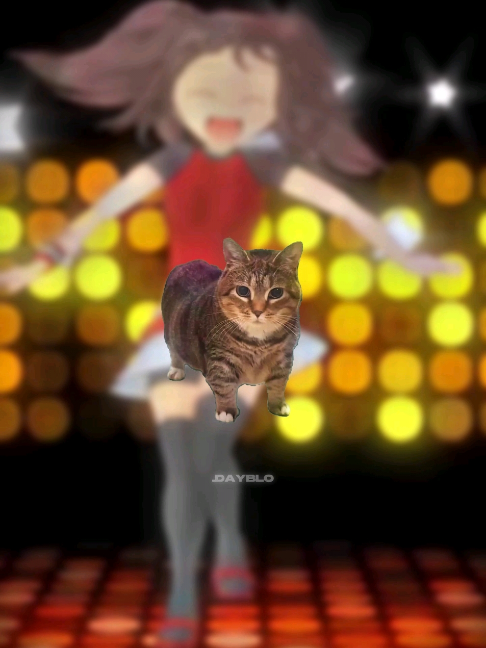 caramell u i a #mashup #caramelldansen #oiaoiacat #oiiaiiooiiai #cat #foryou 