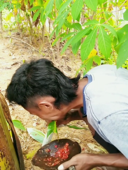 Rujak tunas pisang langsung baluri sambal pedas nikmat #asmr #fyp #viral #mukbang #satisfying #makan #makanabsurd #mukbangbatangpisang #rujakgedebok