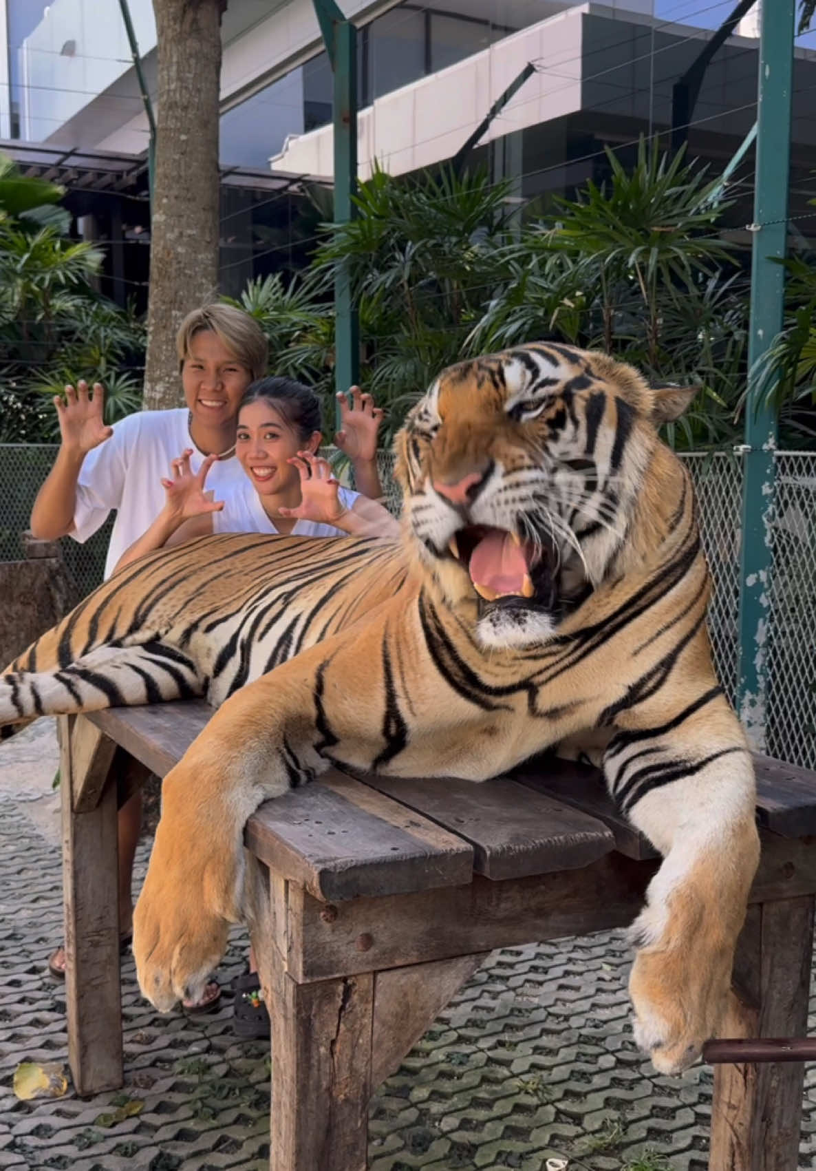 Are you hungry?? 🐯👨🏻‍🍳 พี่ตกกะใจหมดเลย555555 ~  #น้องเทนนิส #เทนนิสจูเนียร์ #เทนนิสพาณิภัค #panipak2540 #panipaktaekwondo #Panipak 