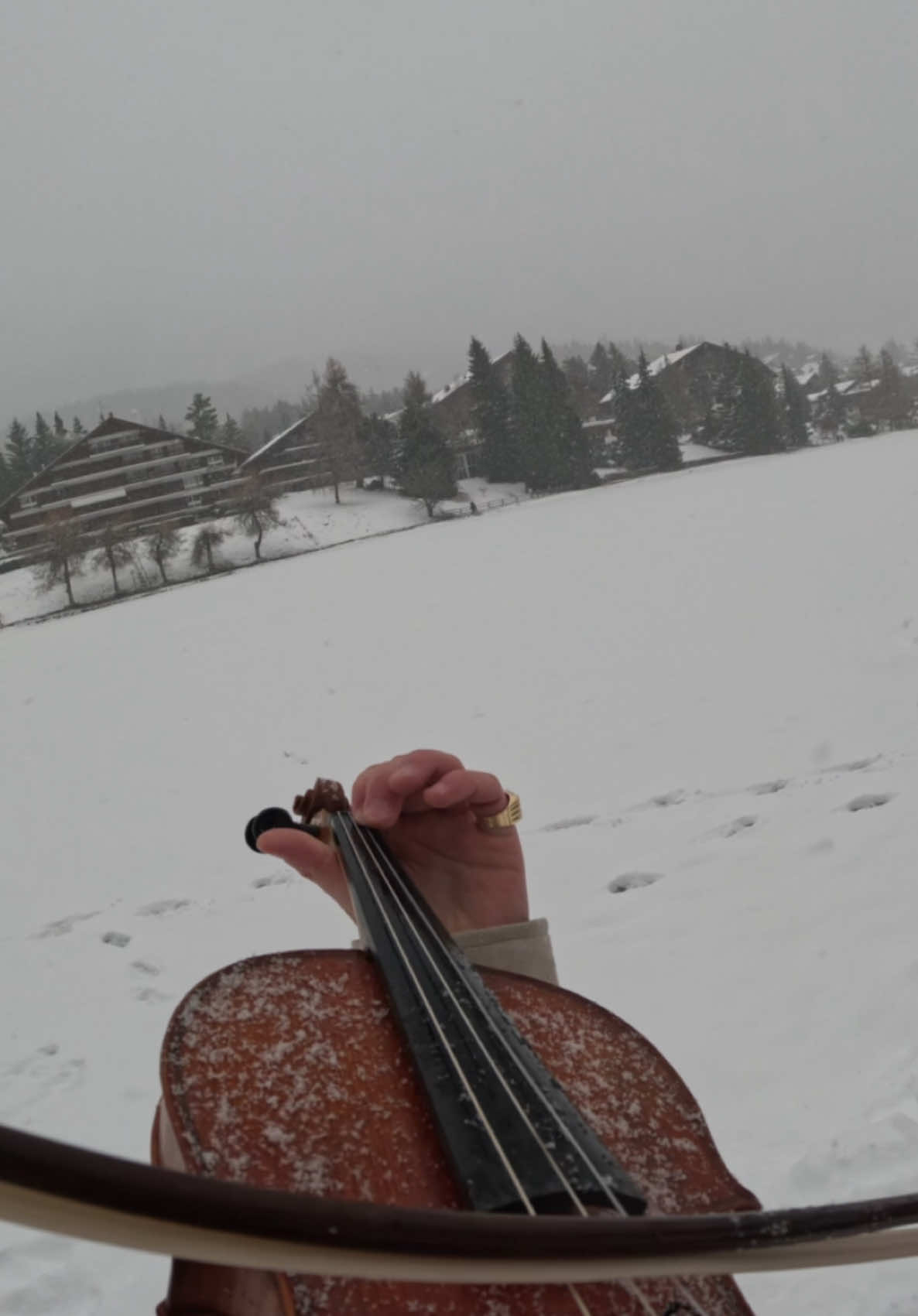 Winter 🥶 babyyyy #vivaldi #violin #fyp #snow #switzerland 