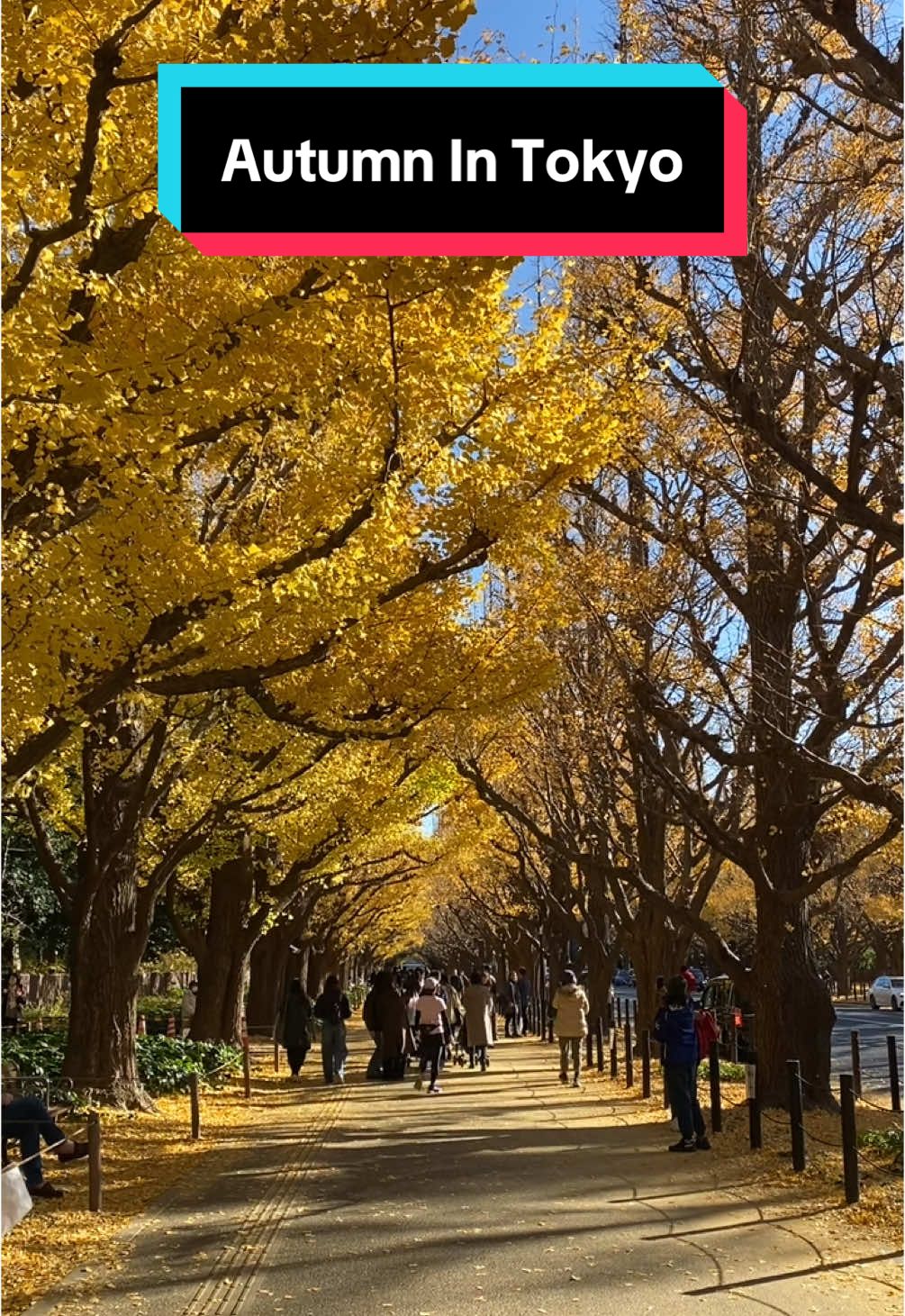 Autumn In tokyo #autumn #tokyo #japan #anime 