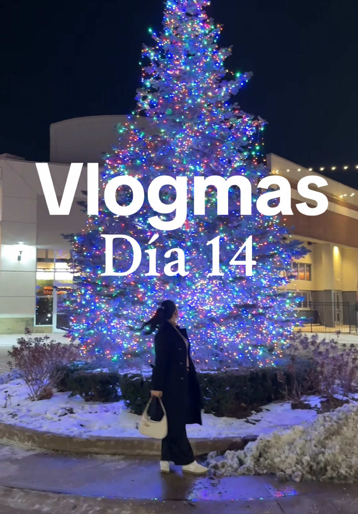 Vlogmas día 14 #Vlogmas #Vlog #vlogdiario #vlogdenavidad #navidad2024 #vlogger #Lifestyle #lifestyleblogger 