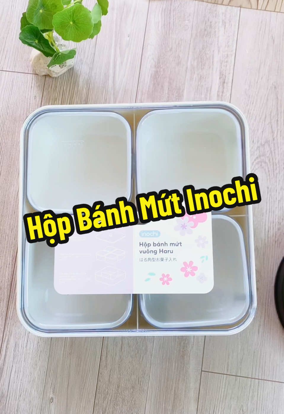 Hộp Bánh Mứt Inochi, nhiều kiểu dáng #nhacuasam #hopmuttet #hopmuttetsangtrong 