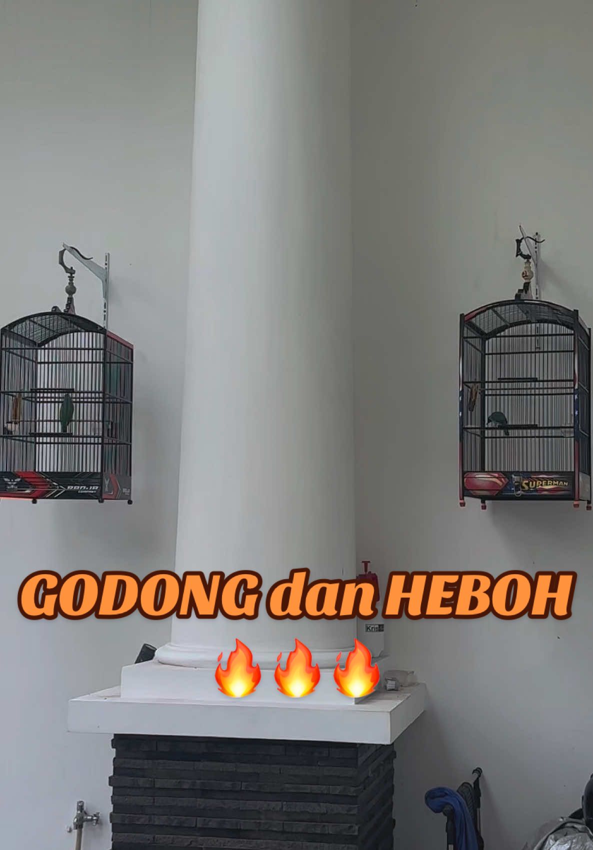 Ganti SETTINGAN CUCAK IJO GODONG dan HEBOH (ICONIC)  #CapCut #cucakijo #cucak #cucakijomania #cucakijoprestasi #kicaumania #kicaumaniaindonesia #ijo #godong #heboh #fyp #fypシ #fyppppppppppppppppppppppp 