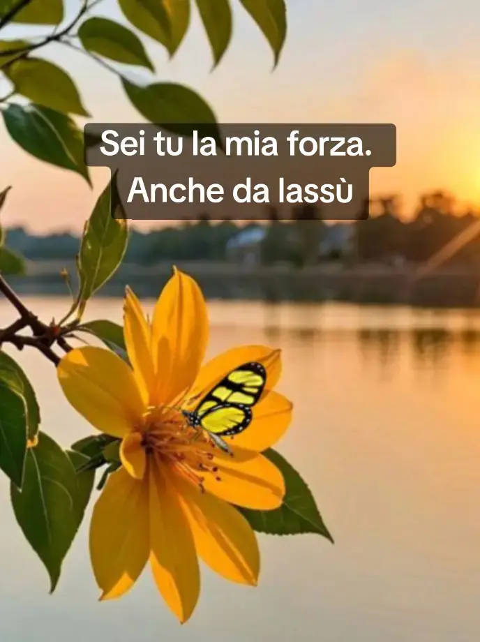 Io ho un Angelo che mi tiene la mano 💙 Il mio libro disponibile su Amazon  #mimanchi #angelomio #lutto #perdita #messaggioperte #dedicala #papà #mamma #mimanchiangelomio❤️👼🏻 #nonna #poesietiktok #frasiamore 