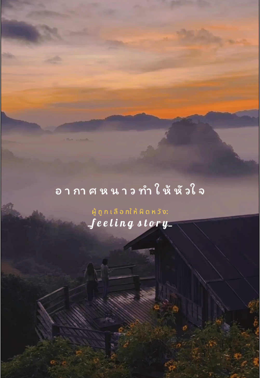 ผู้ถูกเลือกให้ผิดหวัง #ความรู้สึก🦋 #thaida🦋 #สตอรี่ความรัก🦋 