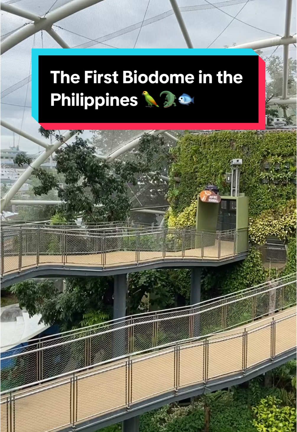 Step into the wild at the Philippines' FIRST EVER Biodome at Manila Ocean Park! 🌿 Meet the coolest animals, explore the greenery, and catch must-see shows 🦜⁠ ⁠ Book your tickets at the link in bio. 🧡⁠ ⁠ #KlookPH #YourWorldOfJoy #Philippines #Biodome