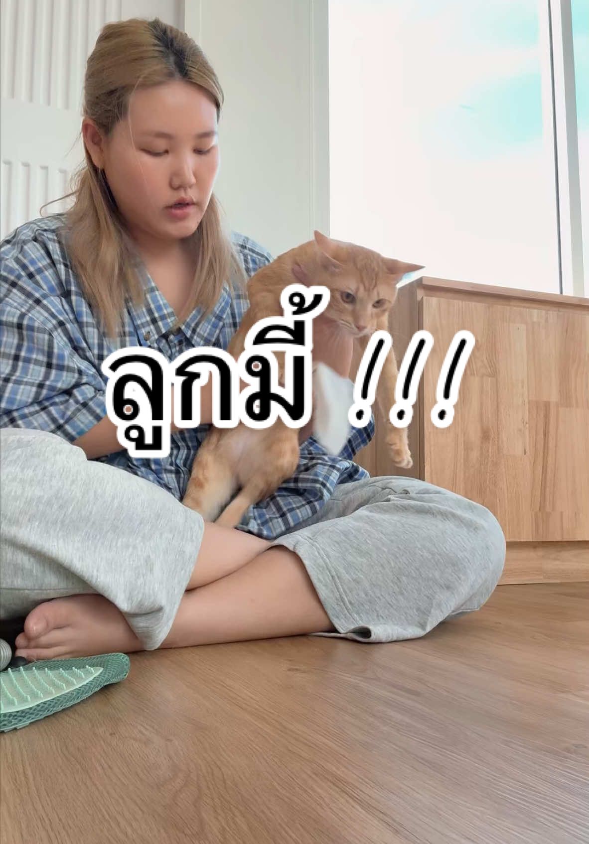 ลูกๆโบว์เค้าทำห้องรกอีกแล้ว!!! #เหมียวเหมียว  #MeowMeowcatfood  #อาหารแมวเหมียวเหมียว