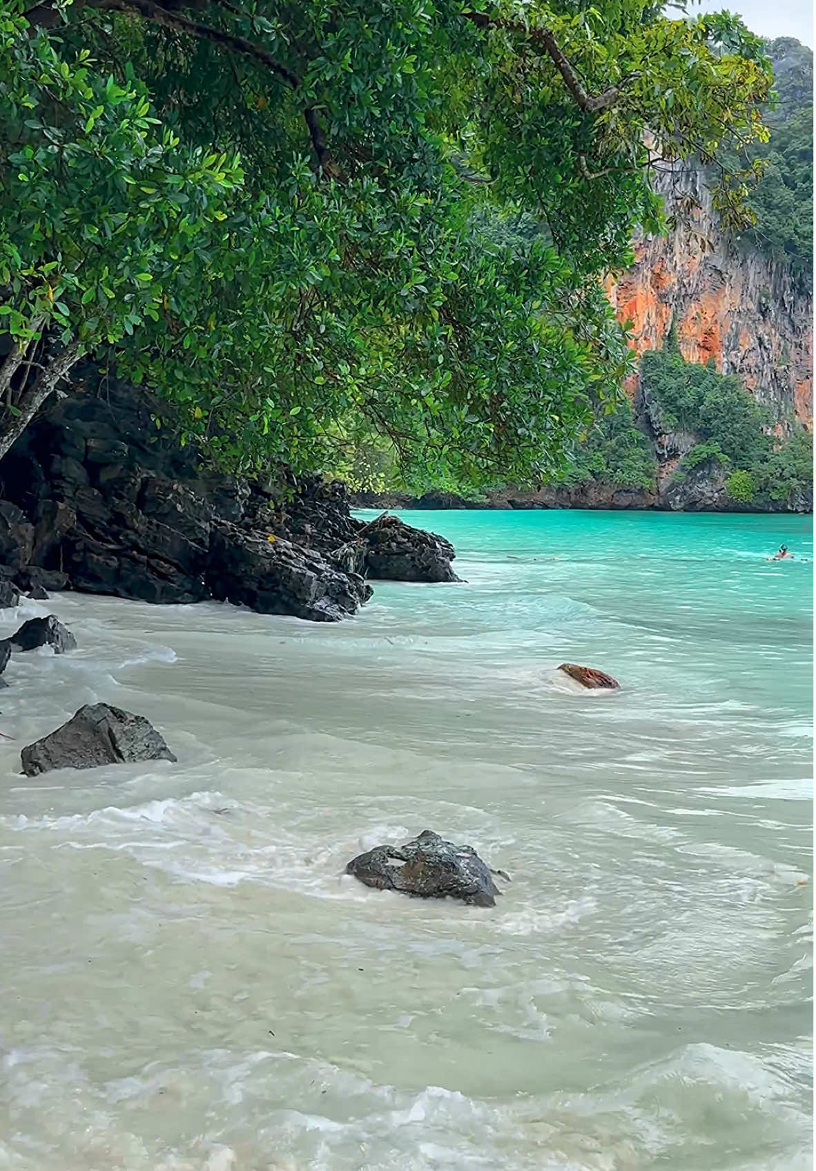 Secret escape 🌴💦 📍Phi Phi Don - Krabi , Thailand 🇹🇭 #nature #travel #beach #vacation #thailand #phiphiisland 