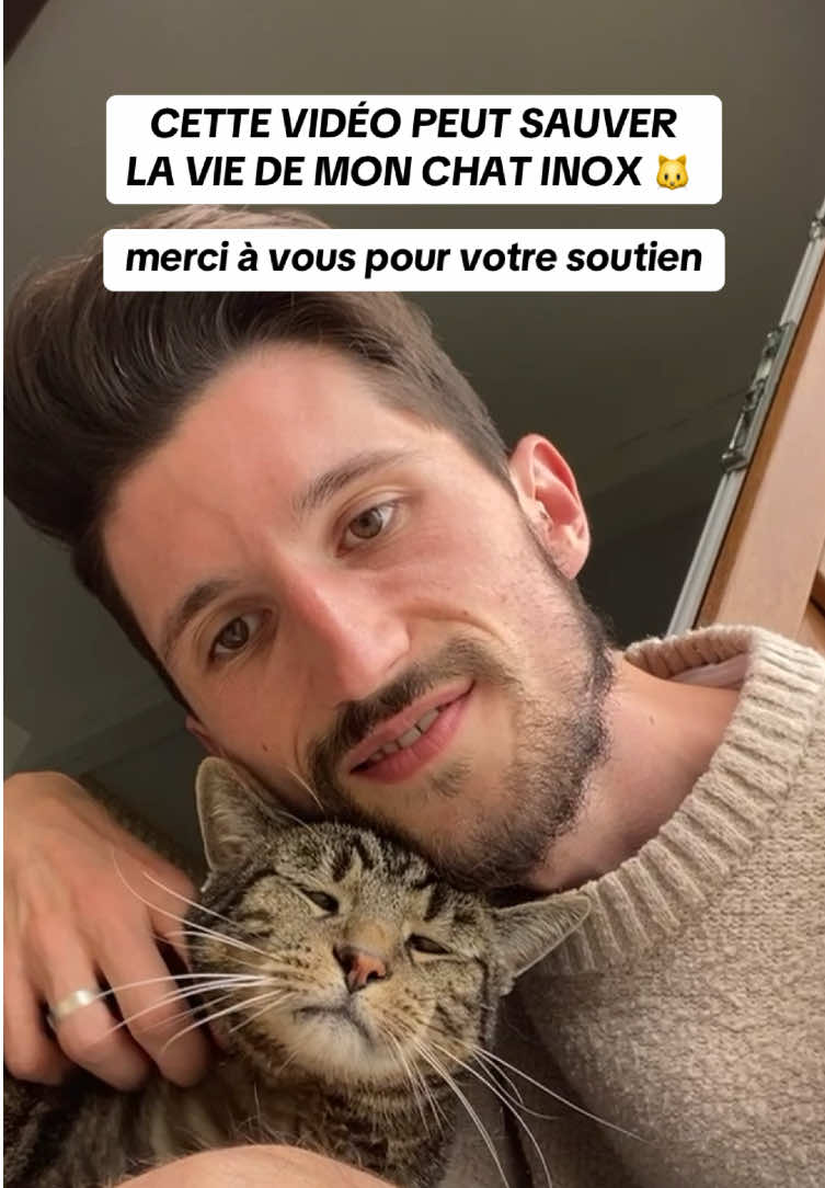 - Merci à celles et ceux qui participeront ✨ utilisons la puissance des reseaux pour faire de belles choses 💛 #flavienalexzander #fyp #chat #inox #veterinaire