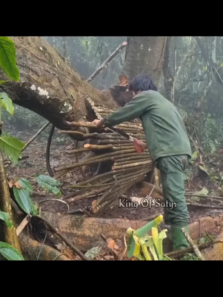 Establish A warm shelter in the cold winter  #fireplace #Cooking #bushcraft #treehouse #survival #shelter #usa🇺🇸 #uktiktok #fyp 