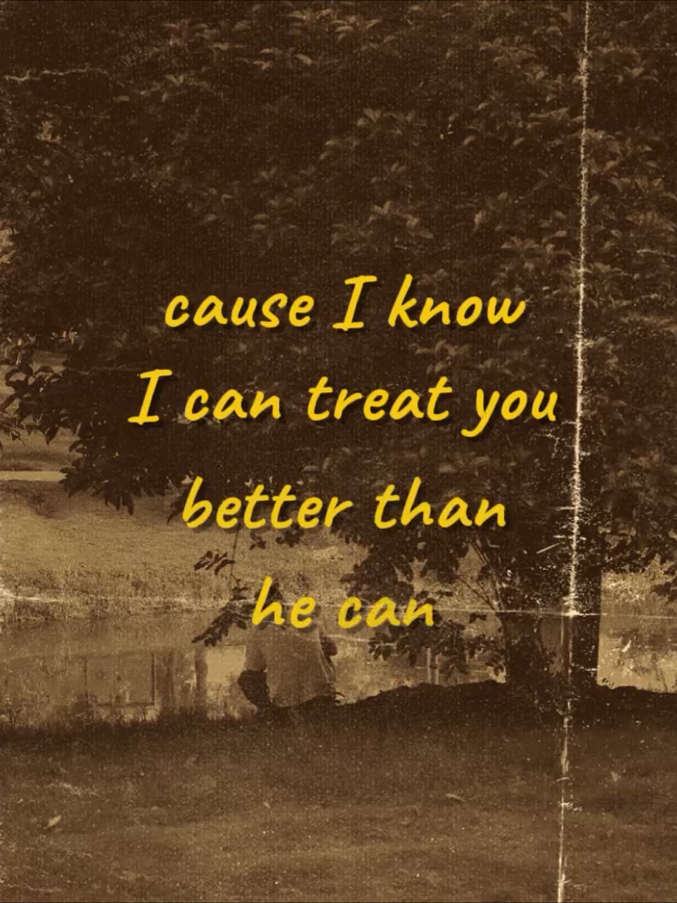 badak dan ikan #treatyoubetter #shawnmendes #lyrics #fyp 