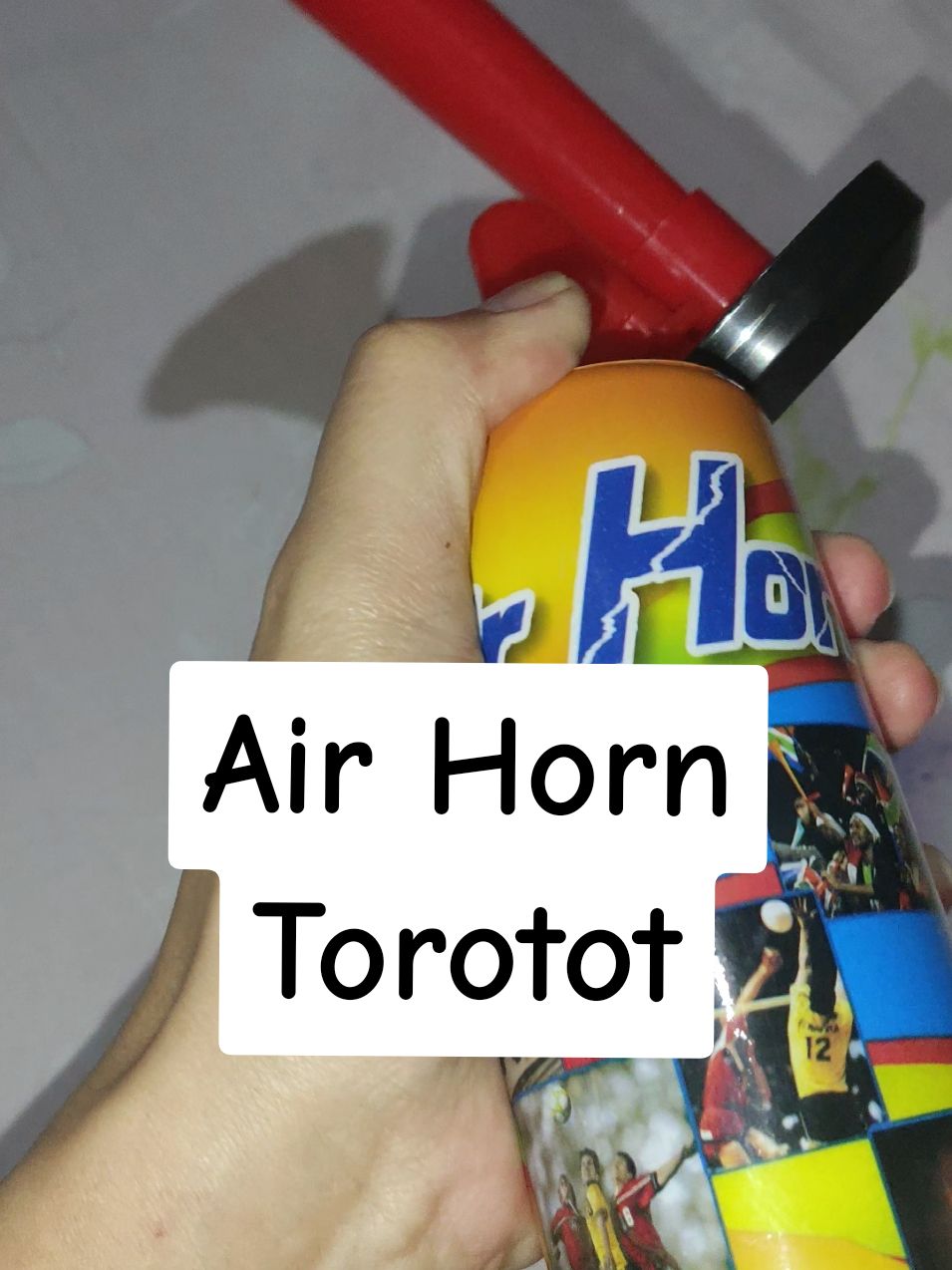 Replying to @monaqsr6  Air horn for new year #airhorn  #torotot  #newyear  #2025 #pampaswerte 