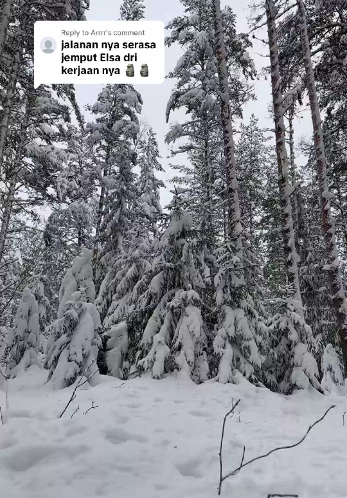 Replying to @Arrrr Elsa lagi ngambek, hutannya dibekuin semua 🫣🫣 Musim dingin di Finlandia lumayan panjang karena negara ini dilewatin lingkar arktik. Hutan musim dingin indah berasa kaya di dunia dongeng Narnia, Twilight, Frozen atau di kenal dengan winter wknderland. Keindahan musim dingin bertambah dengan warna warni aurora yang muncul saat winter. Mau main ke Finlandia? Rekomendasi menikmati musim dingin saat Desember berwisata ke Santaclaus Village di Rovaniemi. #chimyinfinland #finlandia #chimysalju 