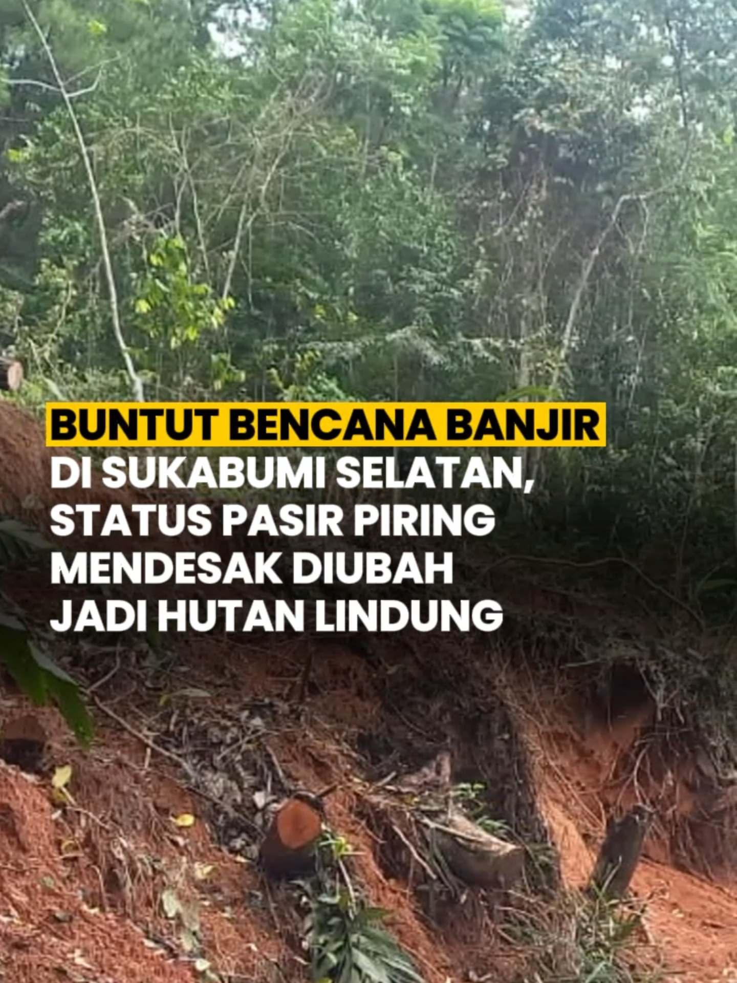 Bencana longsor, banjir dan pergerakan tanah di Sukabumi Selatan, pada Rabu (4/12/2024) dua pekan lalu, telah memporak porandakan wilayah Pajampangan. Keberadaan aktivitas pertambangan dan hutan yang gundul akibat penebangan pohon, terutama di sekitar kawasan hutan Pasir Piring kini menjadi sorotan warga. 