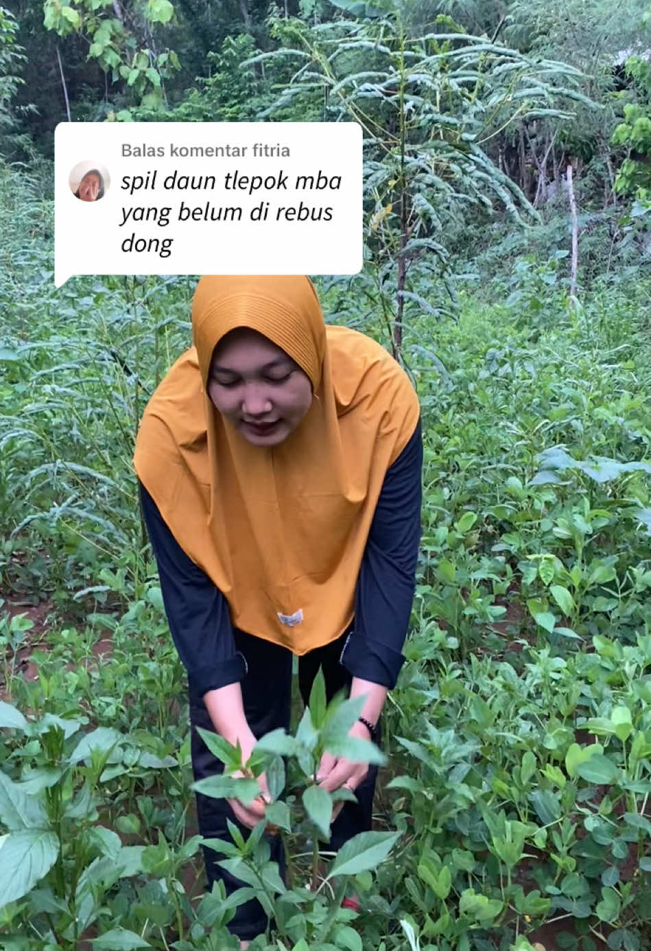 Membalas @fitria  Itu TLEPOK ya gaes,ada ga di tempat sampean???enaknya di gudang kambile di bakar🙂 #ifaariesika07 #ifagunungkidul #viralgunungkidul #gunungkidulviral #ifagk #gudangantlepok 