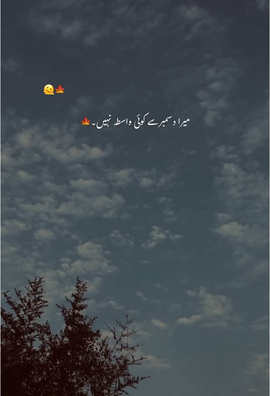 پورا سال۔💔🤌 #foryoupage #foryou #trending #poetrystatus #grow #aesthetic #account #hehe_feroz 