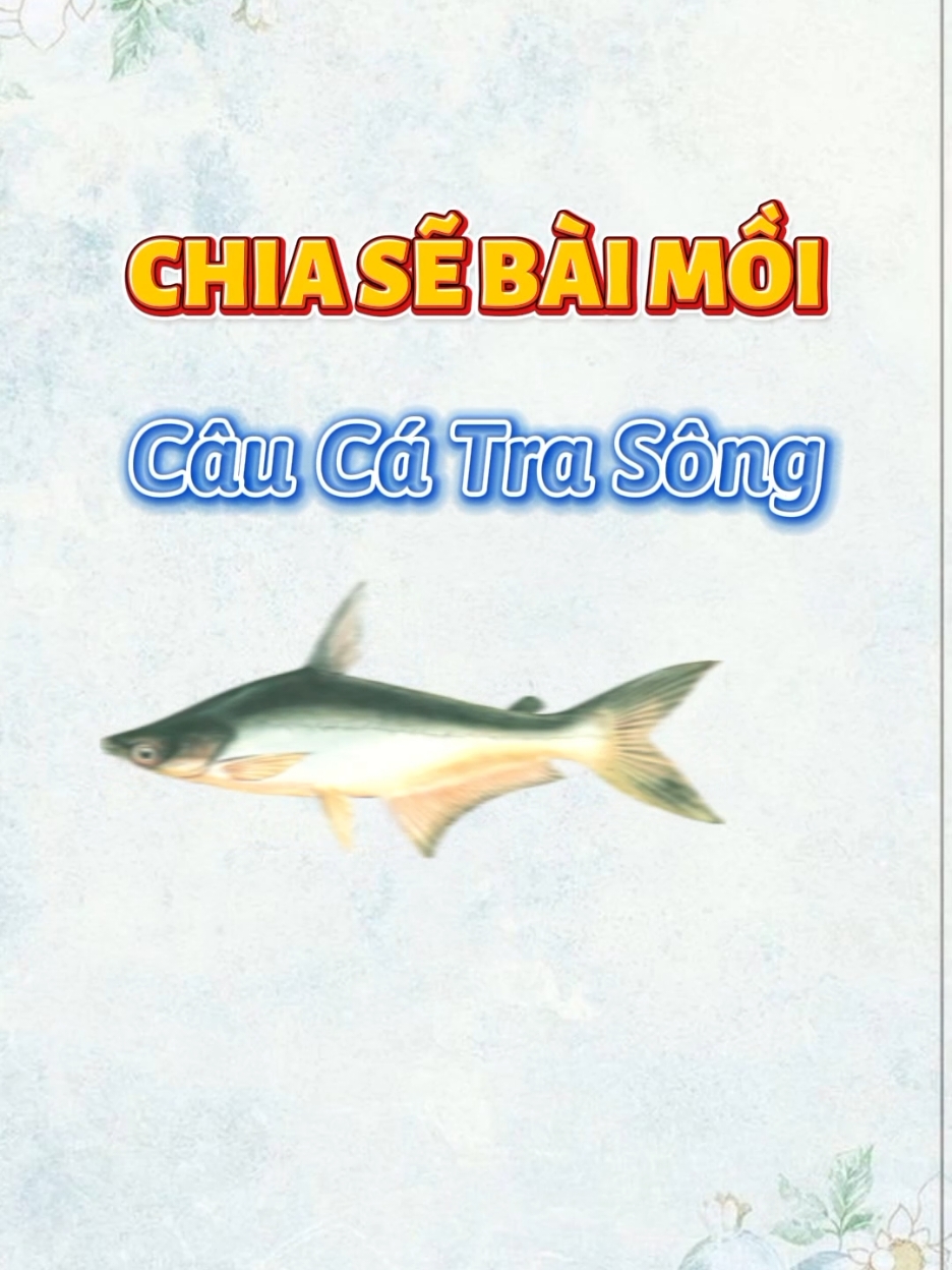 Mồi Câu Cá Tra Sông #câucá #fishing #câu #câuđài #câucátra 