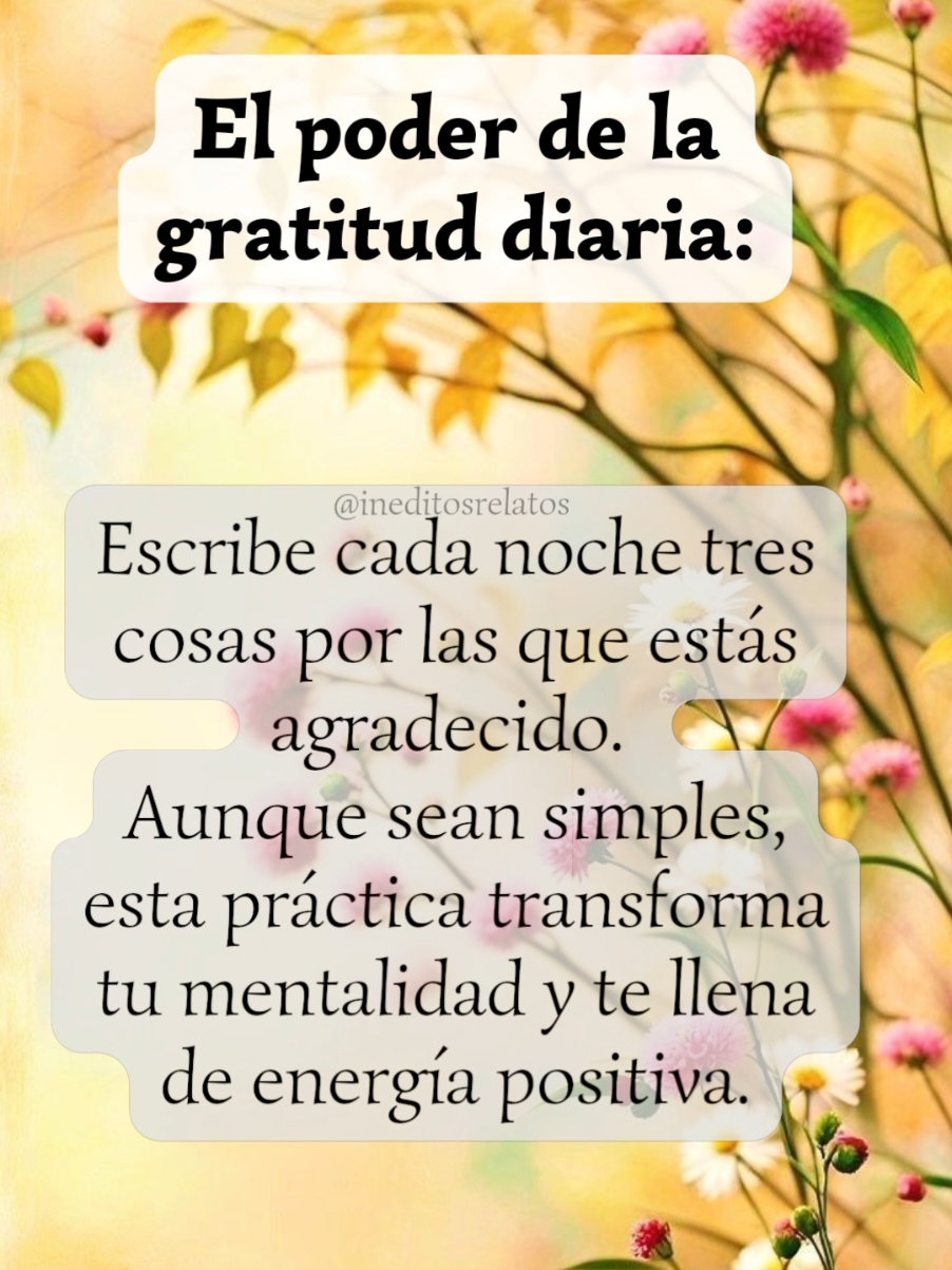 El poder de la gratitud diaria: Escribe cada noche tres cosas por las que estás agradecido.  Aunque sean simples, esta práctica transforma tu mentalidad y te llena de energía positiva. #Reflexion #Frases #Relatos #Historia #gratitud #mentalidad  #ineditosrelatos 