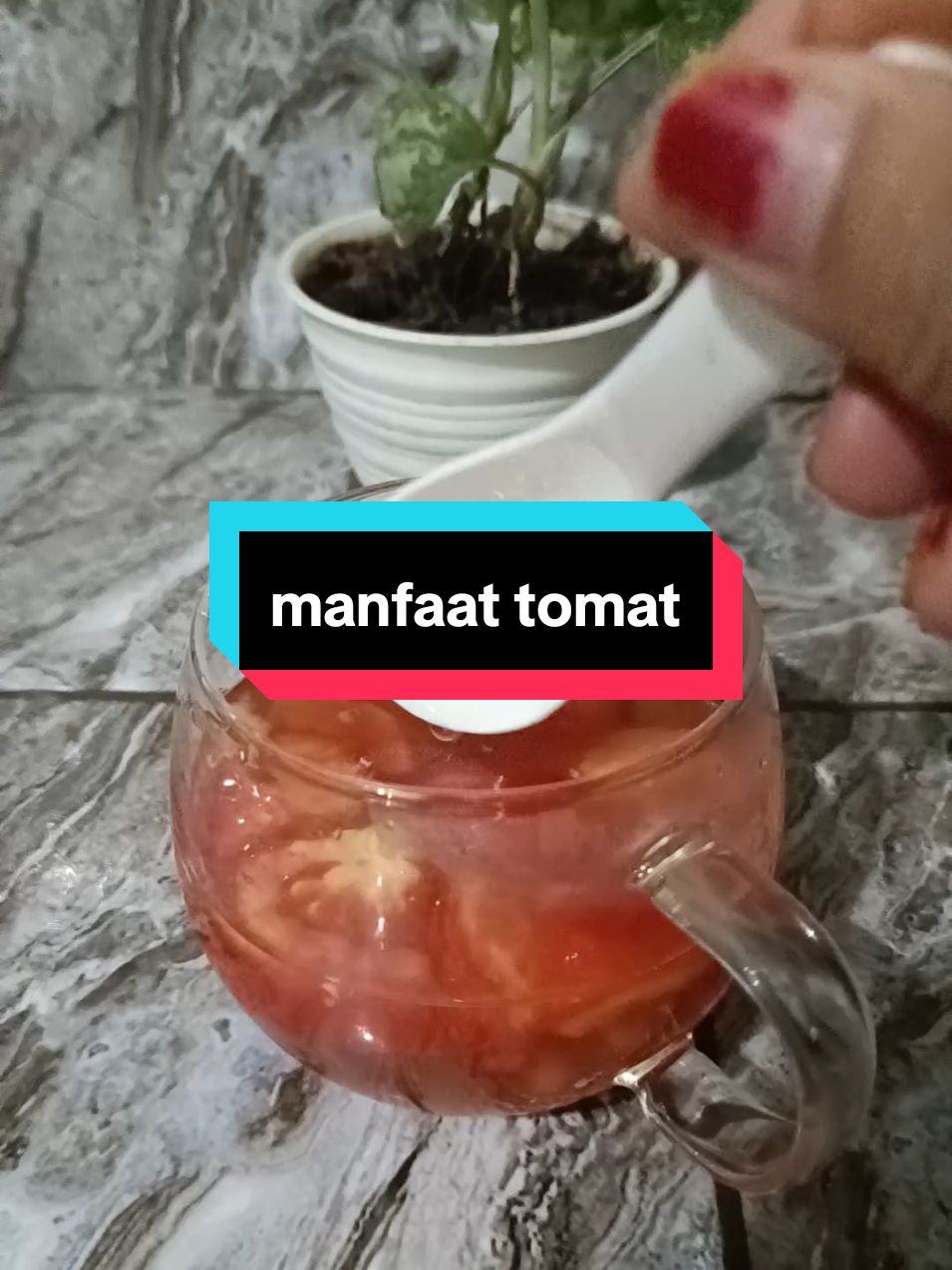 buah yang begitu banyak manfaat dan mudah di dapat adalah buah tomat yang begitu banyak manfaat bagi kesehatan. #manfaattomat #herbal #sehatselalu #inaadzka 