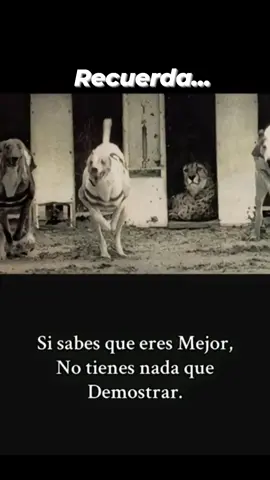 #personal#motivation #parati  #motivacionpersonal  #sabesqueereselmejor 